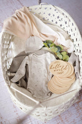 Hello World Monthly Disc Set | The Nest Attachment Parenting Hub